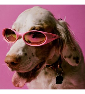 Pit Viper The Juicy Slammer Sunglasses