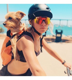 Exec Ursprungliga Solglasögon