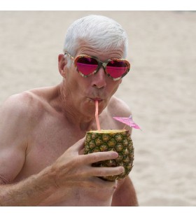 Le Actualbush Admirateur Des Lunettes De Soleil